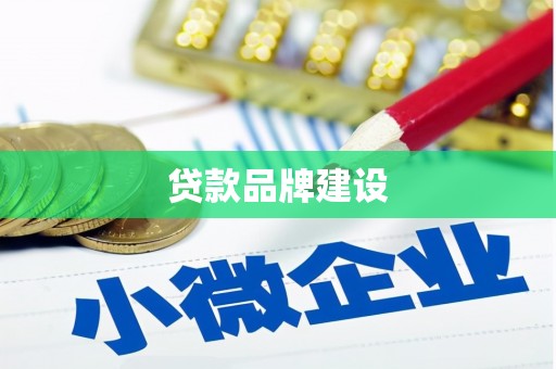 阳原贷款品牌建设