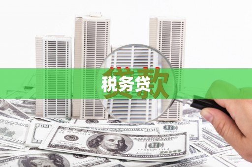 阳原税务贷