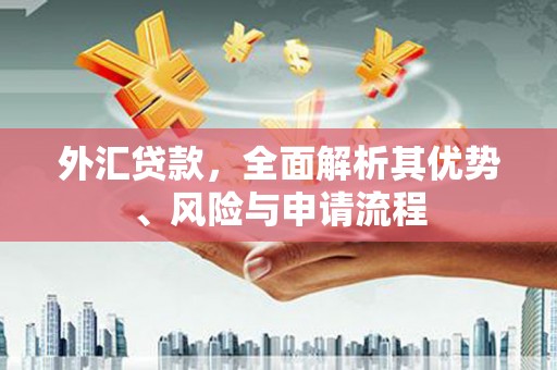 阳原外汇贷款，全面解析其优势、风险与申请流程