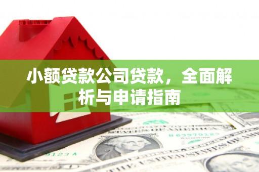 阳原小额贷款公司贷款，全面解析与申请指南