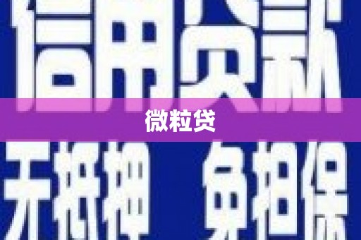 阳原微粒贷