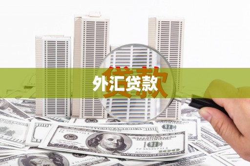阳原外汇贷款
