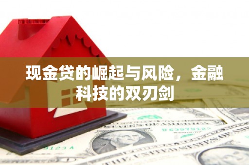 阳原现金贷的崛起与风险，金融科技的双刃剑