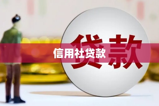 阳原信用社贷款