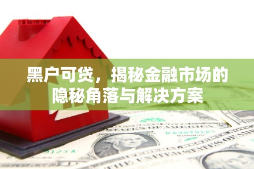 阳原黑户可贷，揭秘金融市场的隐秘角落与解决方案