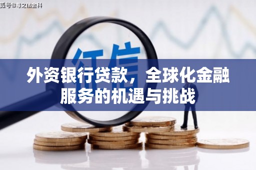 阳原外资银行贷款，全球化金融服务的机遇与挑战