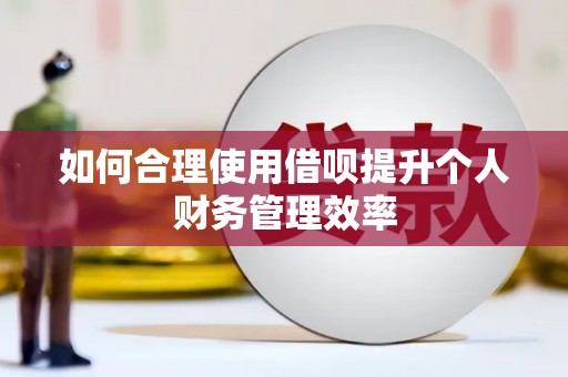 阳原如何合理使用借呗提升个人财务管理效率