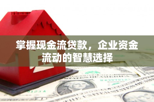 阳原掌握现金流贷款，企业资金流动的智慧选择