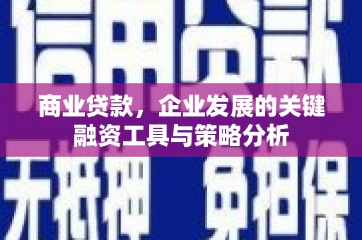 阳原商业贷款，企业发展的关键融资工具与策略分析