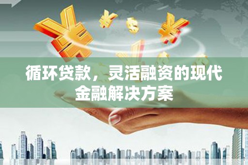 阳原循环贷款，灵活融资的现代金融解决方案