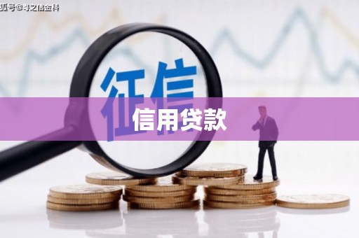 阳原信用贷款