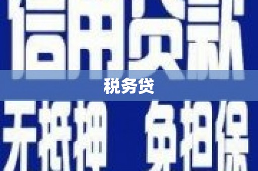 阳原税务贷