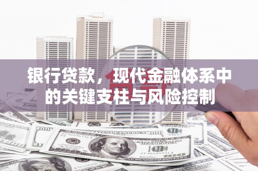 阳原银行贷款，现代金融体系中的关键支柱与风险控制