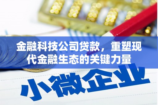 阳原金融科技公司贷款，重塑现代金融生态的关键力量