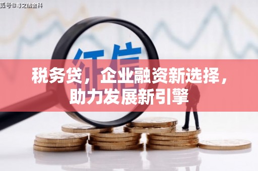 阳原税务贷，企业融资新选择，助力发展新引擎