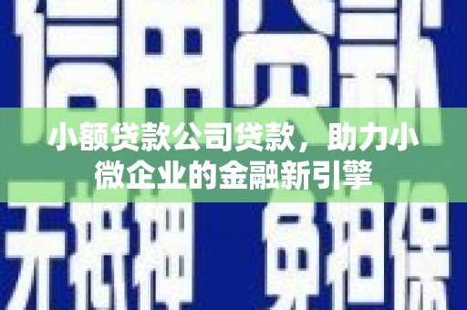 阳原小额贷款公司贷款，助力小微企业的金融新引擎