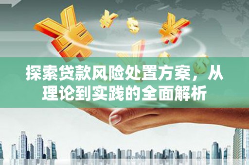 阳原探索贷款风险处置方案，从理论到实践的全面解析