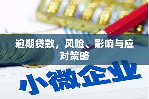 阳原逾期贷款，风险、影响与应对策略