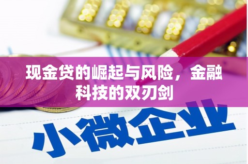 阳原现金贷的崛起与风险，金融科技的双刃剑