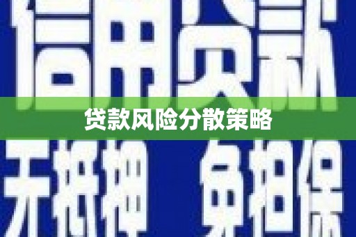 阳原贷款风险分散策略