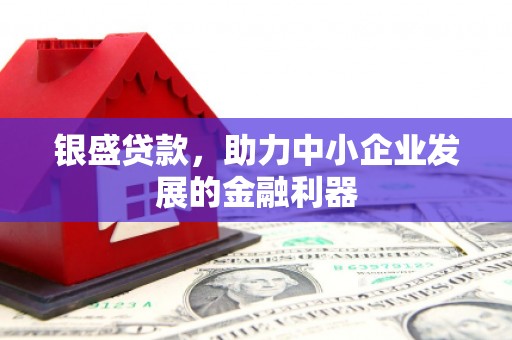 阳原银盛贷款，助力中小企业发展的金融利器