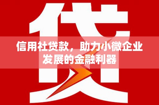 阳原信用社贷款，助力小微企业发展的金融利器