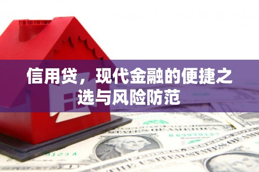 阳原信用贷，现代金融的便捷之选与风险防范
