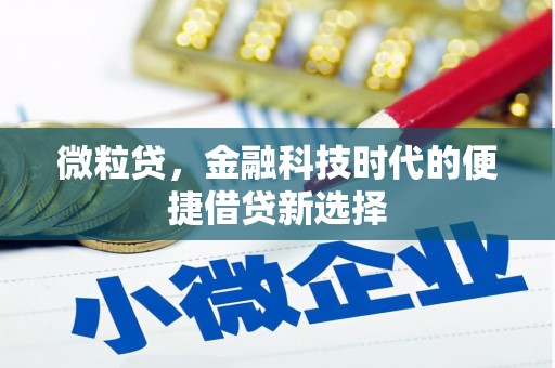 阳原微粒贷，金融科技时代的便捷借贷新选择