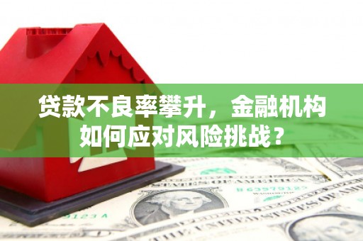 阳原贷款不良率攀升，金融机构如何应对风险挑战？